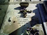 image of grave number 455937